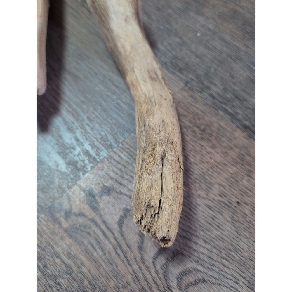 Driftwood So Cal CA Beach Ocean Wood Sculpture Art Crafts Garden Decor Lot Of 2 - Picture 4 of 15